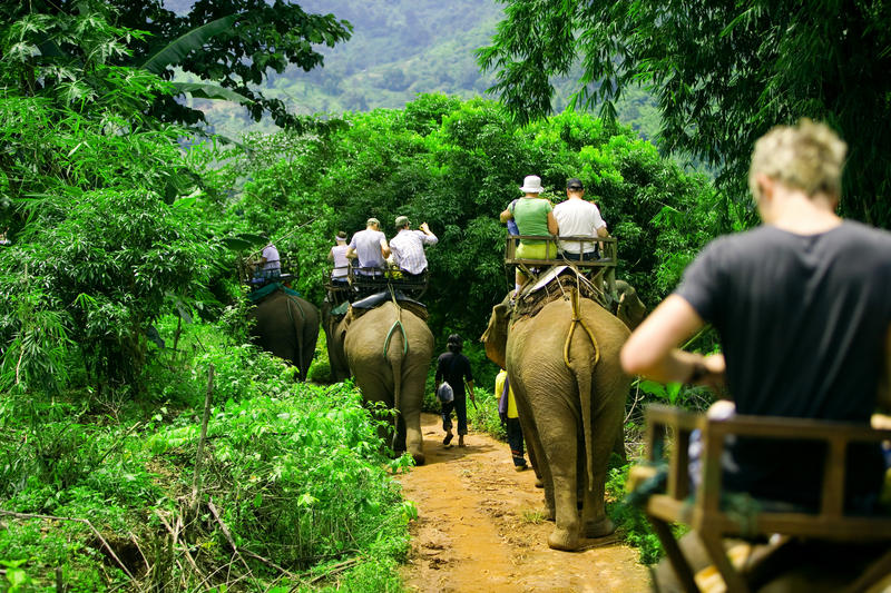 Turister rider på Elefanter i Thailand